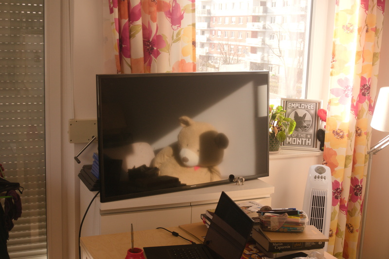 My apartment in Wrocław, teddy bear reflecting off of the TV.