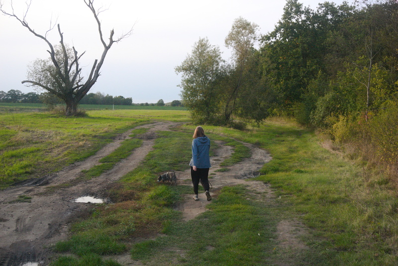 Me (holding camera), my wife, and Dafne on a walk; Wrocław.