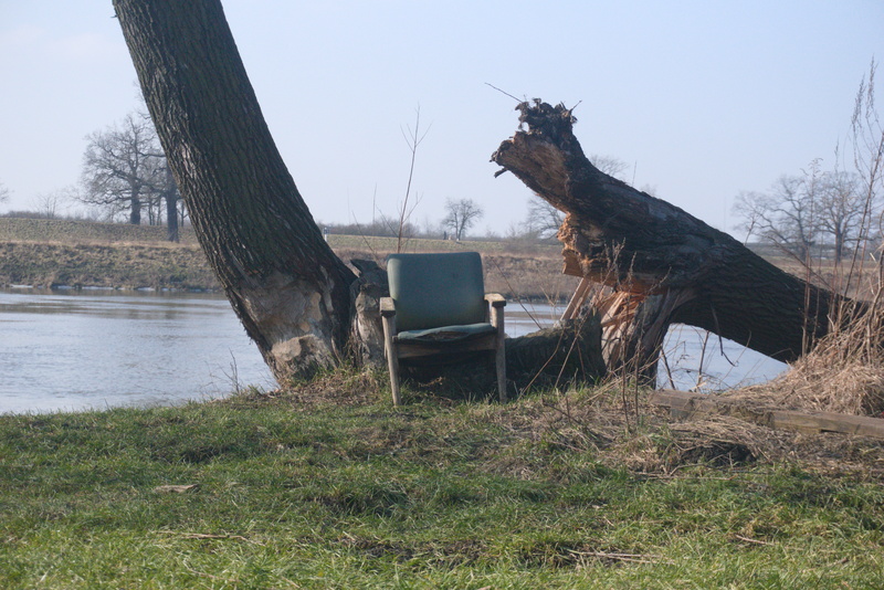 Chair lost in a forest; Wrocław.