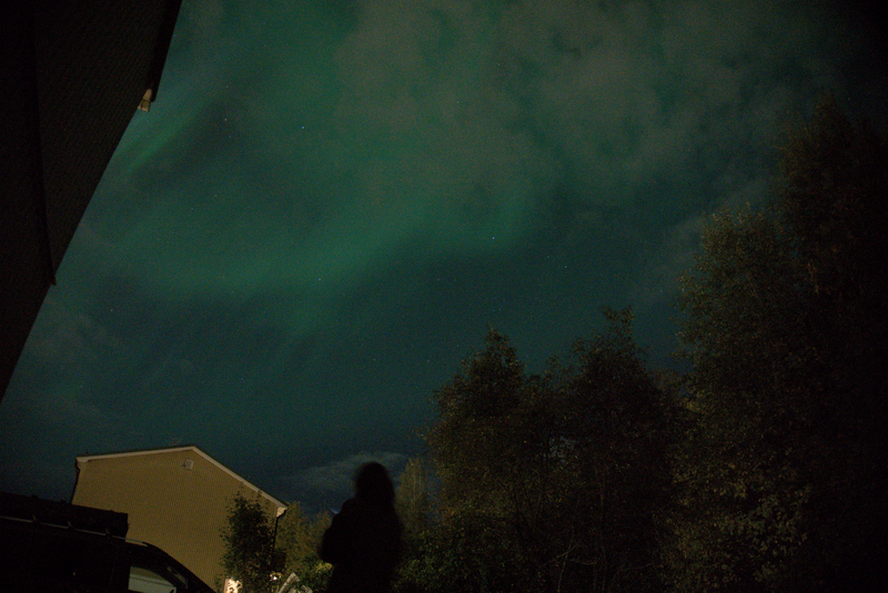Aurora as seen next to my apartment building; Sundsvall.